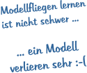 Modellfliegen lernen ist nicht schwer ...  ... ein Modell verlieren sehr :-(